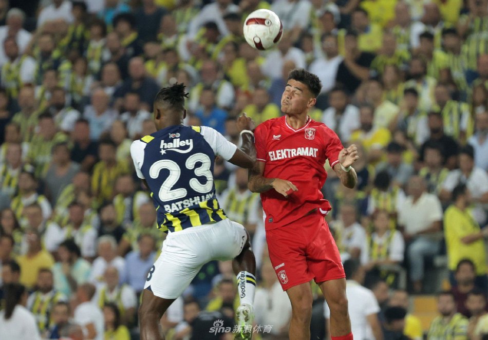 毛球的未来 毛球的未来